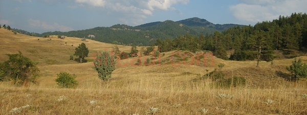 Hayvancılık için uygun yatırımlık arazi